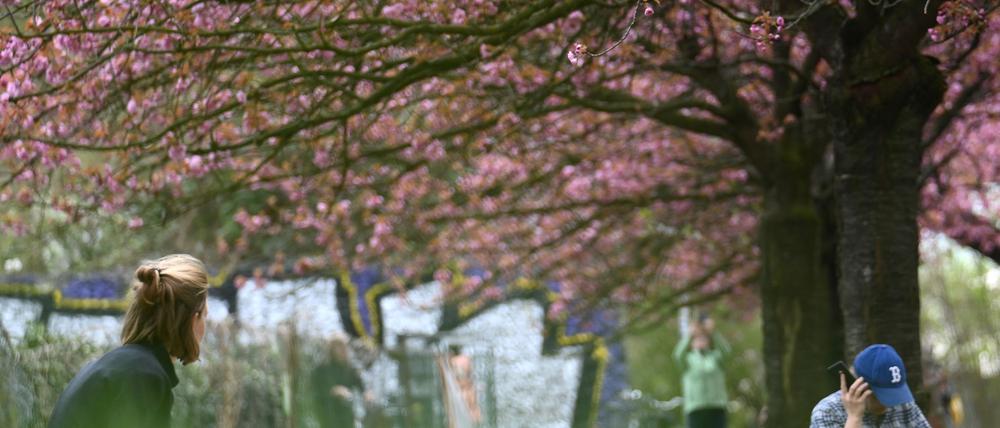 Frühling in Berlin: Die Temperaturen steigen kurz vor Ostern auf fast 30 Grad. (Symbolbild)