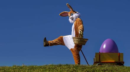 Ein lebensgroßer Osterhase freut sich über das kommende Osterfest, an seinem Leiterwagen präsentiert er bunte Ostereier in seinem Körbchen.