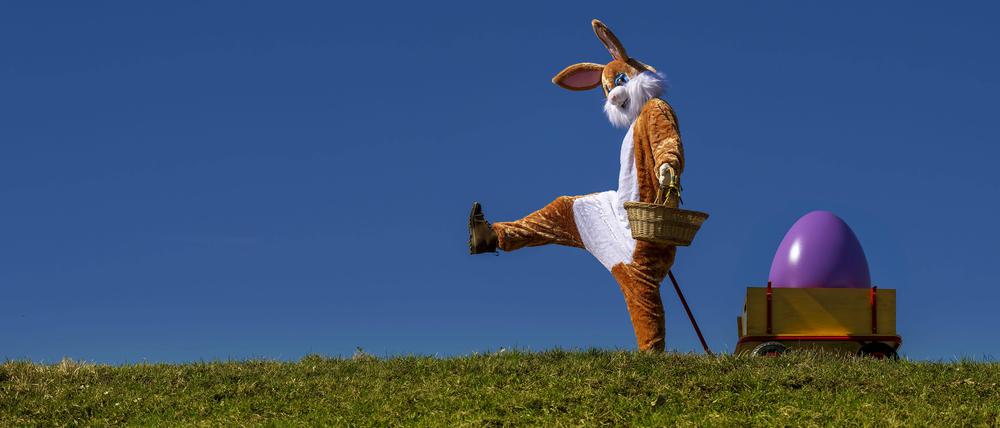 Ein lebensgroßer Osterhase freut sich über das kommende Osterfest, an seinem Leiterwagen präsentiert er bunte Ostereier in seinem Körbchen.