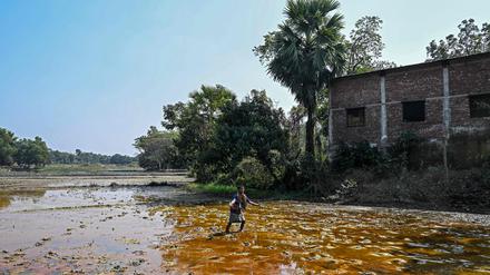 Farmer auf überflutetem Land nahe der Hauptstadt Dhaka in Bangladesh (Symbolbild).