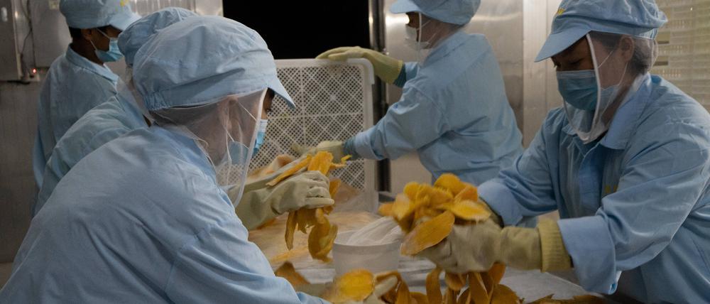 Kambodschas Landwirtschaft setzt auf getrocknete Mangos .