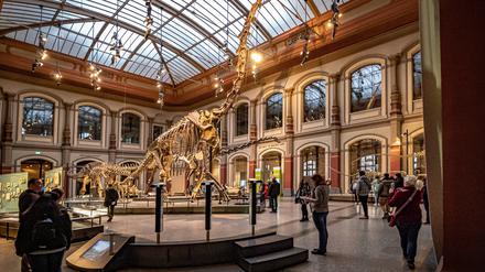 Der berühmte Dino im Lichthof des Berliner Naturkundemuseums ist weltberühmt. Allerdings wird die Öffentlichkeit wenig über die Umstände seiner Ausgrabung informiert.