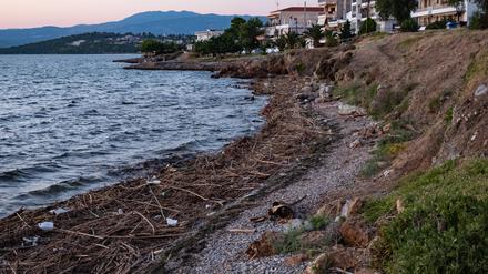 Am Strand von Nea Artaki finden sich die weggespülten Baume, Baumstaemme, Pflanzen und Abfall jeglicher Art. Das Treibgut hier stammt vom gegenüberliegenden Ort Politika auf der gleichen Insel, Euboea. In Nea Artaki am 10. August. 2020 GREECE EUBOEA ARTAKI - FLOOD 
