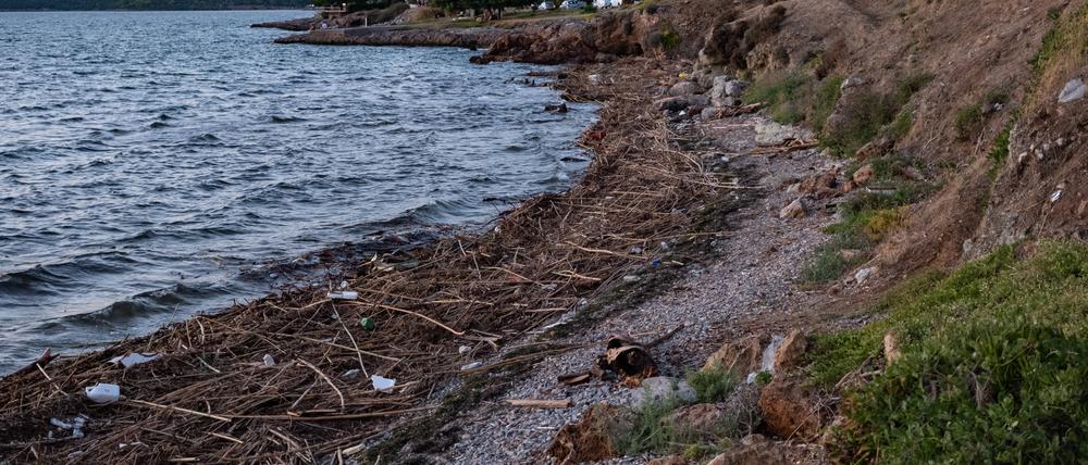 Am Strand von Nea Artaki finden sich die weggespülten Baume, Baumstaemme, Pflanzen und Abfall jeglicher Art. Das Treibgut hier stammt vom gegenüberliegenden Ort Politika auf der gleichen Insel, Euboea. In Nea Artaki am 10. August. 2020 GREECE EUBOEA ARTAKI - FLOOD 