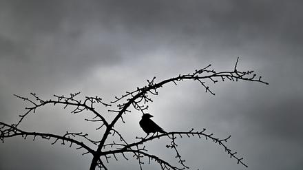 Am Sonntag kann es in Teilen Deutschlands ungemütlich werden.