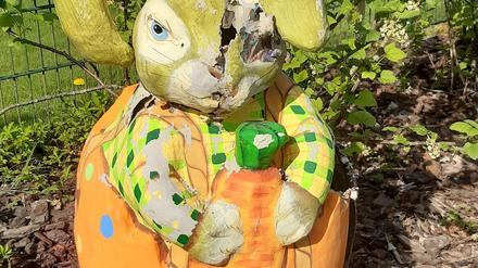 Eine Waschbärin hat sich einen Osterhasen als sicheren Ort für ihre Jungen ausgesucht.