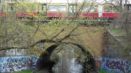 Bahnbrücke über die Panke.