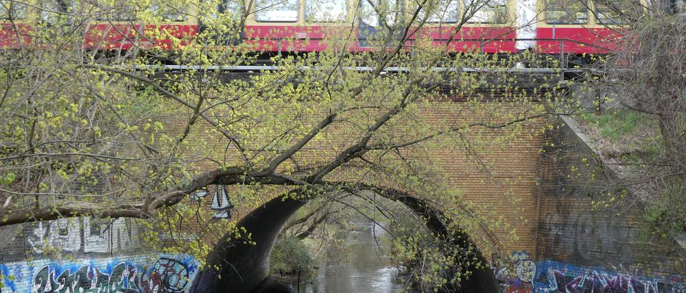 Bahnbrücke über die Panke.