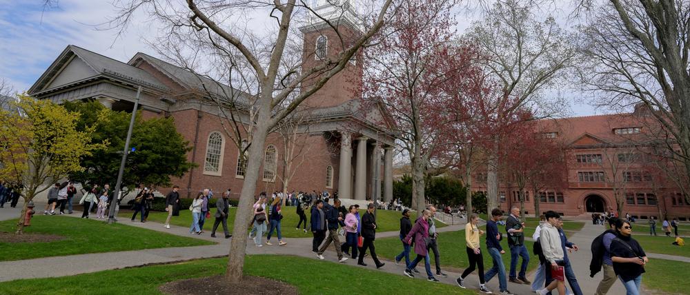 Studierende der Harvard University.