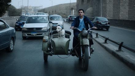 Odyssee durch Kairo. Hassan (Essam Omar) sucht in „Seeking Haven For Mr. Rambo“ eine Bleibe für seinen Hund.
