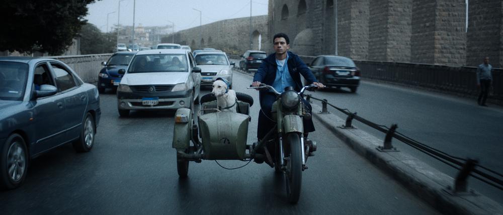Odyssee durch Kairo. Hassan (Essam Omar) sucht in „Seeking Haven For Mr. Rambo“ eine Bleibe für seinen Hund.