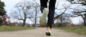Piet Könnicke, Laufcoach, im Neuen Garten Potsdam
