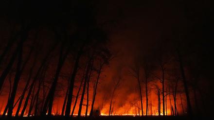 Seit dem Ausbruch des Waldbrandes in New Jersey am Dienstagmorgen breiten sich die Flammen schnell aus.