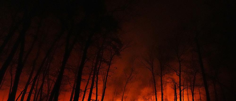 Seit dem Ausbruch des Waldbrandes in New Jersey am Dienstagmorgen breiten sich die Flammen schnell aus.