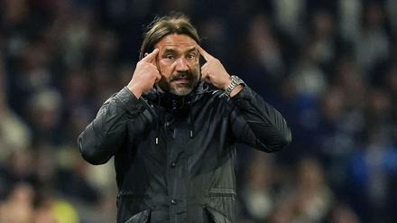 Daniel Farke könnte trotz Aufstiegs seinen Job bei Leeds United verlieren.