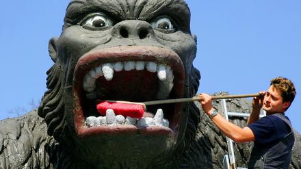 Ein Mitarbeiter vom Filmpark Babelsberg reinigt auf dem Gelände des Filmparks Babelsberg in Potsdam eine King-Kong-Figur.