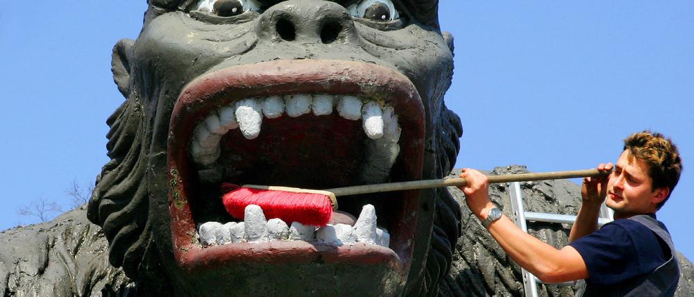 Ein Mitarbeiter vom Filmpark Babelsberg reinigt auf dem Gelände des Filmparks Babelsberg in Potsdam eine King-Kong-Figur.
