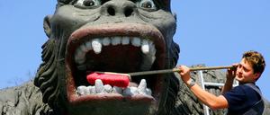 Ein Mitarbeiter vom Filmpark Babelsberg reinigt auf dem Gelände des Filmparks Babelsberg in Potsdam eine King-Kong-Figur.
