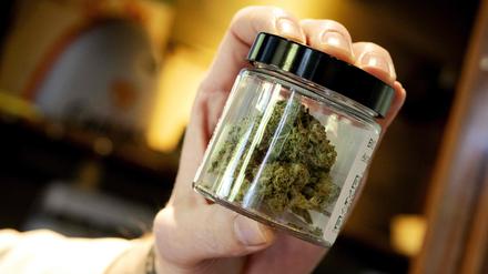 Marihuana, also die getrockneten, harzhaltigen Blüten und blütennahen Blätter der weiblichen Hanfpflanze, fertig zum Verkauf in einem Glas.