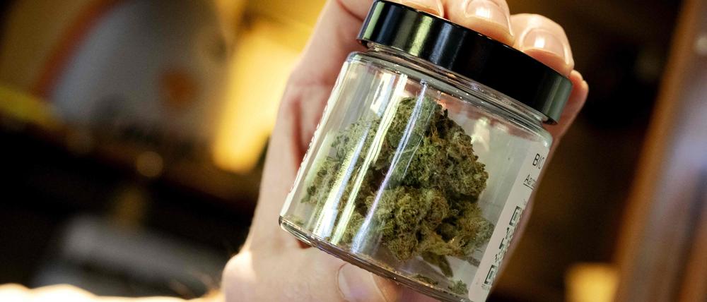 Marihuana, also die getrockneten, harzhaltigen Blüten und blütennahen Blätter der weiblichen Hanfpflanze, fertig zum Verkauf in einem Glas.