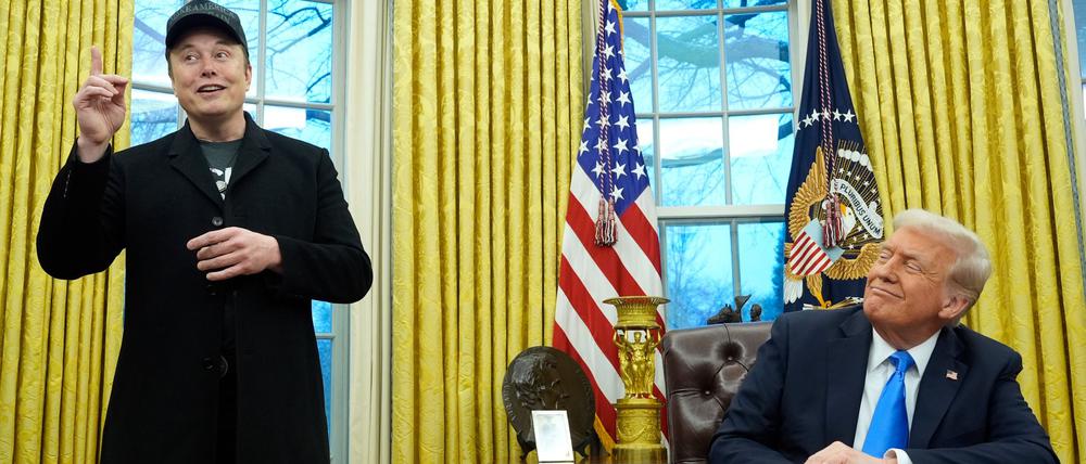 Noch im Februar demonstrierten Trump und Musk Eintracht im Weißen Haus. (Archivbild)