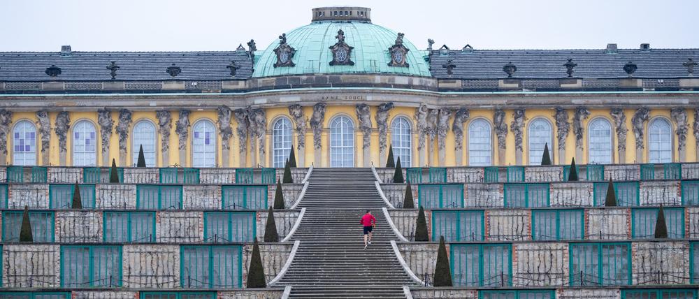Treppen der Weinbergterrassen am Schloss Sanssouci in Potsdam