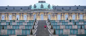 Treppen der Weinbergterrassen am Schloss Sanssouci in Potsdam