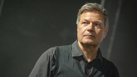 Die Grünen sind unter Habeck zu einer neuen politischen Kraft geworden, zeitweise regierten sie im Bund und einem Dutzend Länderparlamenten gleichzeitig.