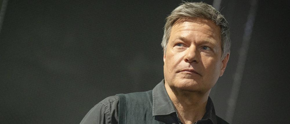 Robert Habeck sucht nach einer neuen Rolle.  