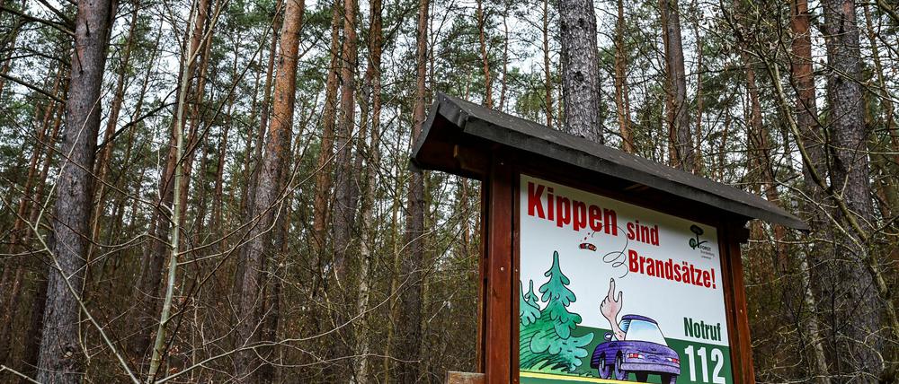 Achtung Waldbrandgefahr: Hinweistafeln weisen auf das Risiko in Brandenburgs Wäldern hin. (Archivbild)