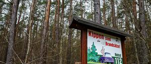 Achtung Waldbrandgefahr: Hinweistafeln weisen auf das Risiko in Brandenburgs Wäldern hin. (Archivbild)