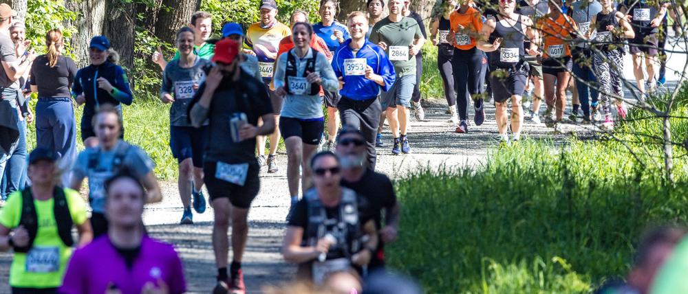 Sportlicher Höhepunkt im Südosten Brandenburgs seit mehr als 20 Jahren - der Spreewald-Marathon.