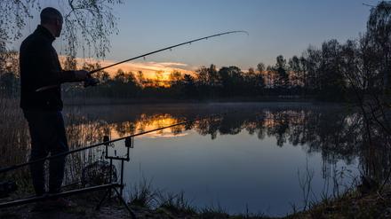 Die Stimmung bei den Anglern in Brandenburg ist getrübt: Die „Anglerkönigin 2024“ wird nach einem besonders großen Fang ausgezeichnet, aber mit Hassnachrichten im Netz konfrontiert.  (Symbolbild)
