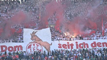 Rund 15.000 Gästefans unterstützen den 1. FC Köln in Hannover.