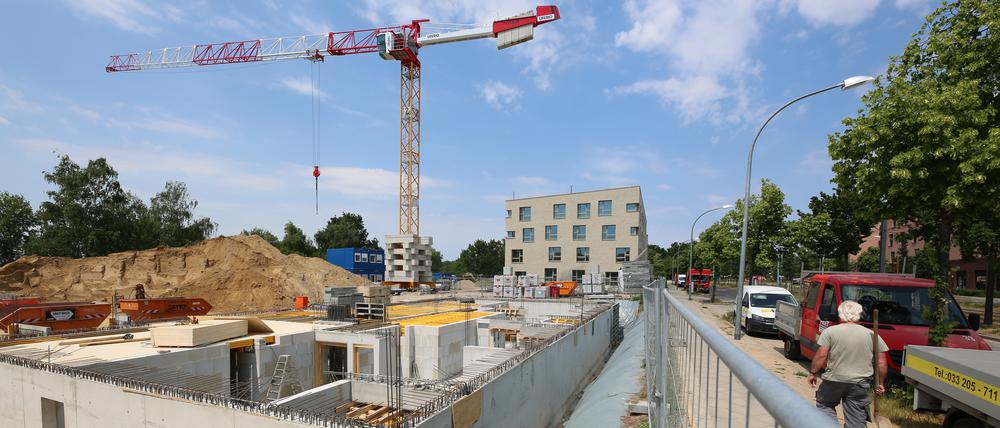 Baustelle mit Kellergeschoss und Kran im Bornstedter Feld.