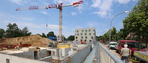 Baustelle mit Kellergeschoss und Kran im Bornstedter Feld.