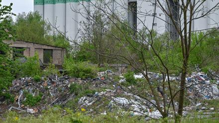 In Brandenburg gibt es noch viele illegale Abfalllager, die geräumt werden müssen. (Archivbild)