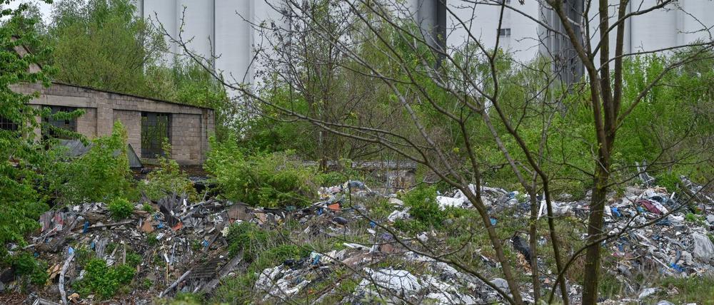 In Brandenburg gibt es noch viele illegale Abfalllager, die geräumt werden müssen. (Archivbild)