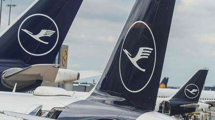Die Lufthansa zählte im März trotz des Zollstreits mit den USA deutlich mehr Reisende aus den Vereinigten Staaten als ein Jahr zuvor. (Archivbild)