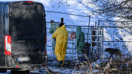 Wegen des Ausbruchs der Maul- und Klauenseuche entstand bei den Betrieben in Brandenburg ein Millionenschaden. (Archivbild)