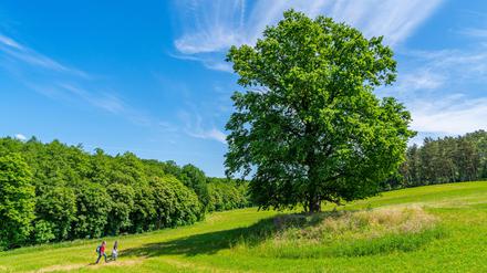 Wandern durch die Uckermark