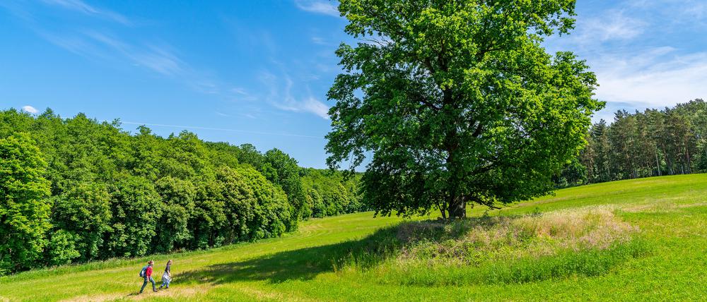Wandern durch die Uckermark