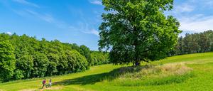Wandern durch die Uckermark