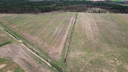 Mitte April und vertrocknetes Gras - Blick auf eine Wiese im Landkreis Oberhavel in Brandenburg (Aufnahme mit einer Drohne). (Archivbild)