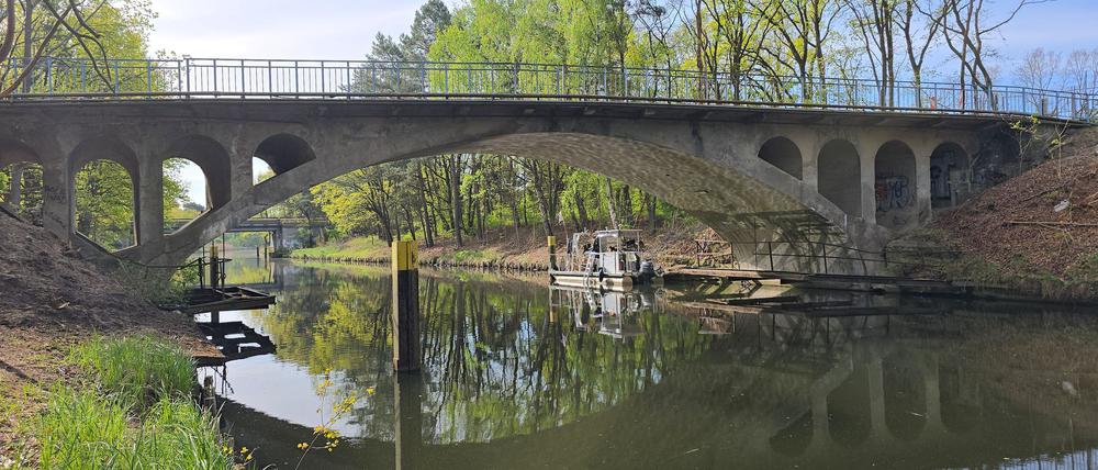 Unter dieser Brücke ist der Kopf eines Menschen gefunden worden.