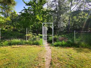 Die Gay Cruising Area im Volkspark Friedrichshain
