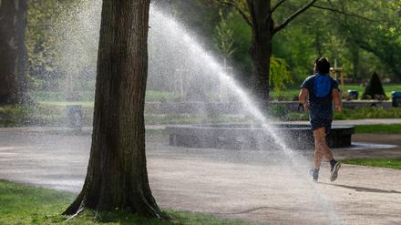 Ostdeutschland gehört in diesem Frühjahr zu den trockensten Regionen, im Treptower Park in Berlin müssen die Bäume bewässert werden.