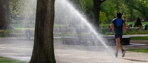Ostdeutschland gehört in diesem Frühjahr zu den trockensten Regionen, im Treptower Park in Berlin müssen die Bäume bewässert werden.