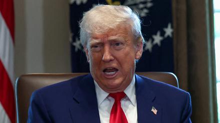 US-Präsident Donald Trump spricht während einer Kabinettssitzung im Weißen Haus (Symbolbild). 