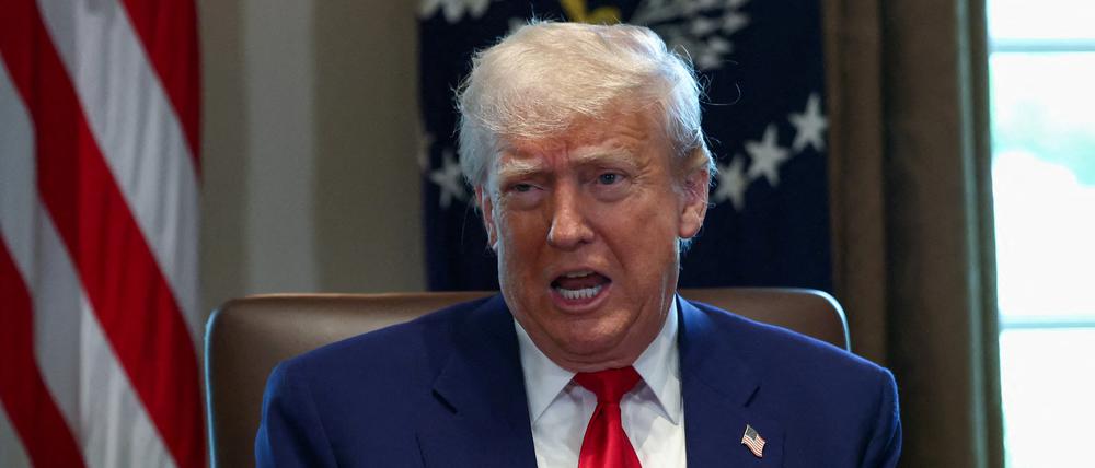 US-Präsident Donald Trump spricht während einer Kabinettssitzung im Weißen Haus (Symbolbild). 